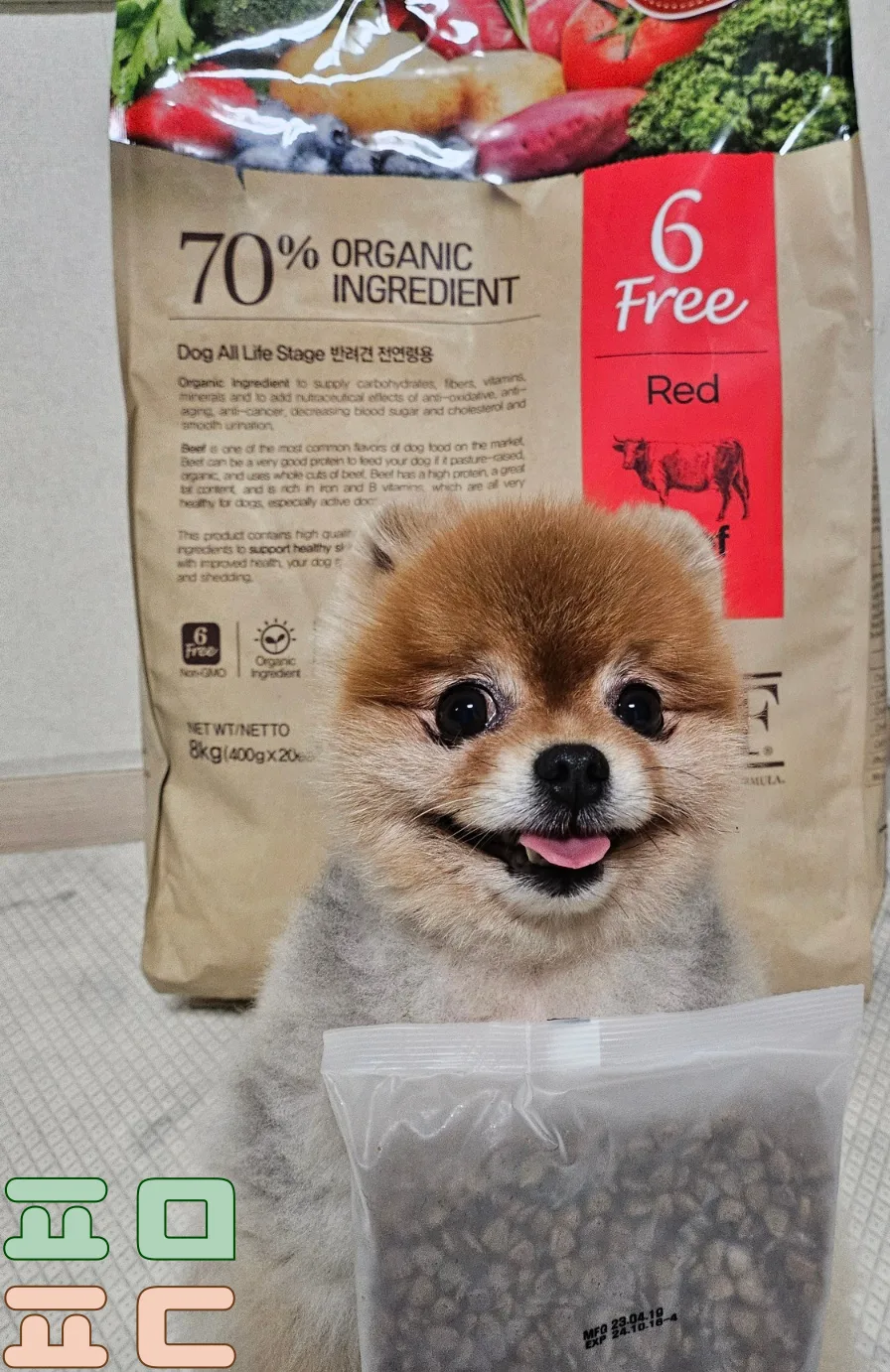 ANF 식스프리 플러스 샘플팩 100원 체험 후기 관련 사진 2