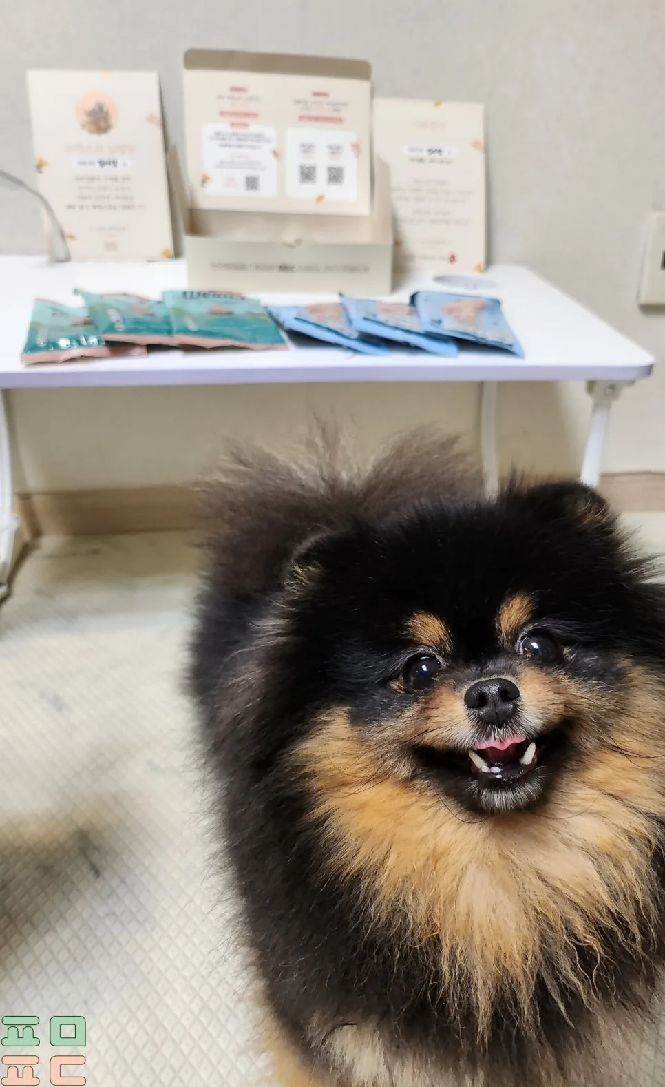 ANF 식스프리 플러스 샘플팩 100원 체험 후기 관련 사진 3