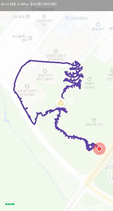 강아지 산책 습관, 기록으로 1일 1산책 지키기 관련 사진 3