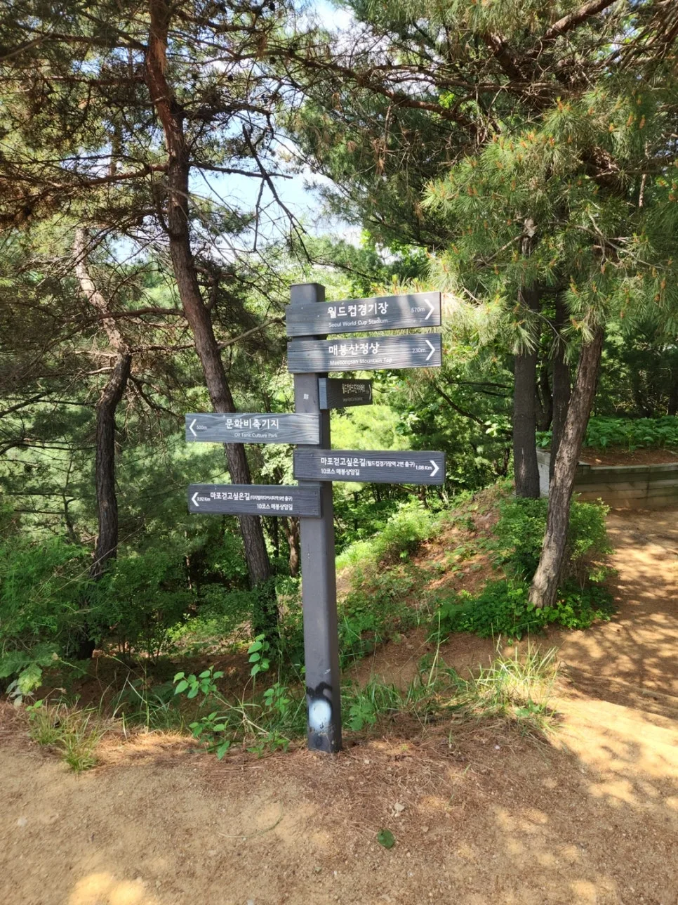 강아지 산책 습관, 기록으로 1일 1산책 지키기 관련 사진 4