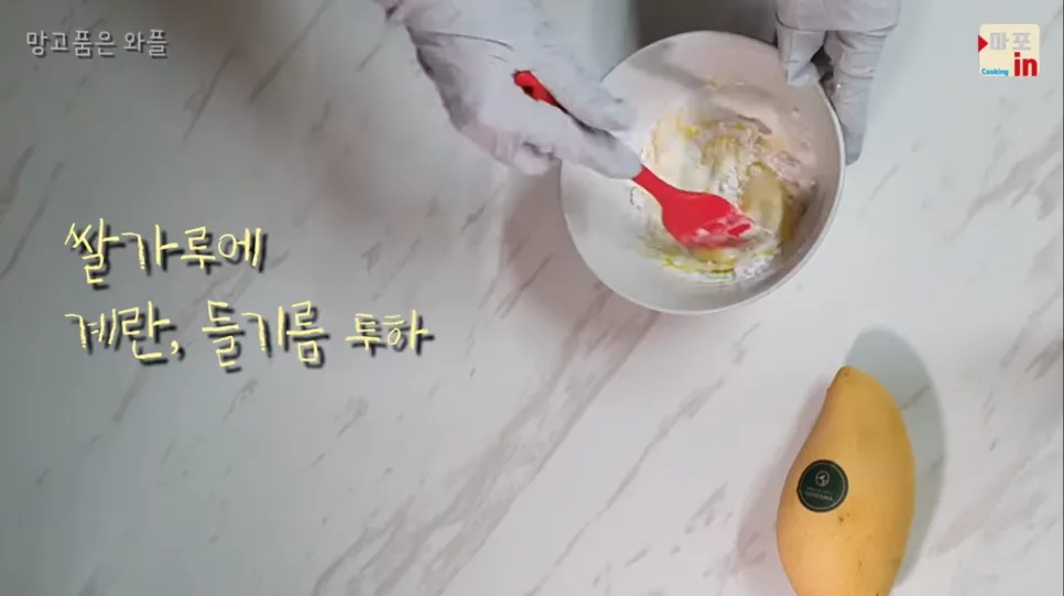 강아지 망고 와플 만들기, 재료비 1만원 수제간식 레시피 관련 사진 2