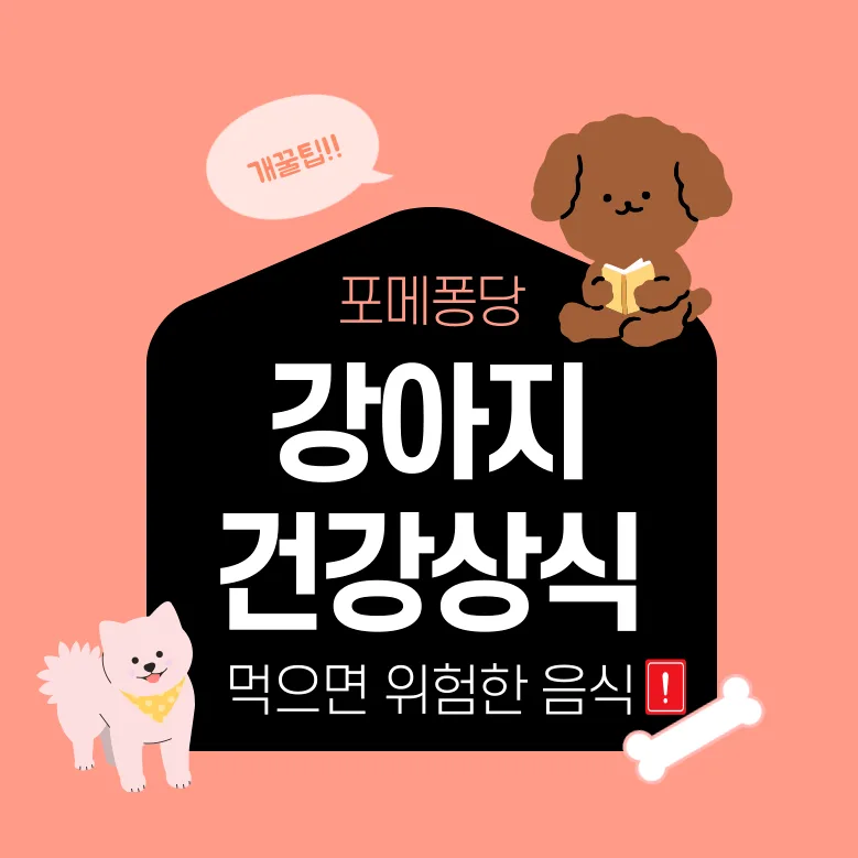 강아지가 먹으면 안 되는 음식 8가지와 중독 증상