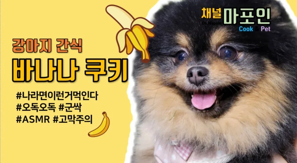 강아지 수제간식 바나나 쿠키, 재료 3가지