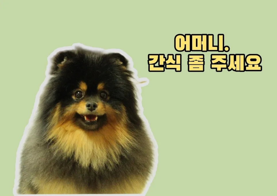 강아지 수제간식 바나나 쿠키, 재료 3가지 관련 사진 5