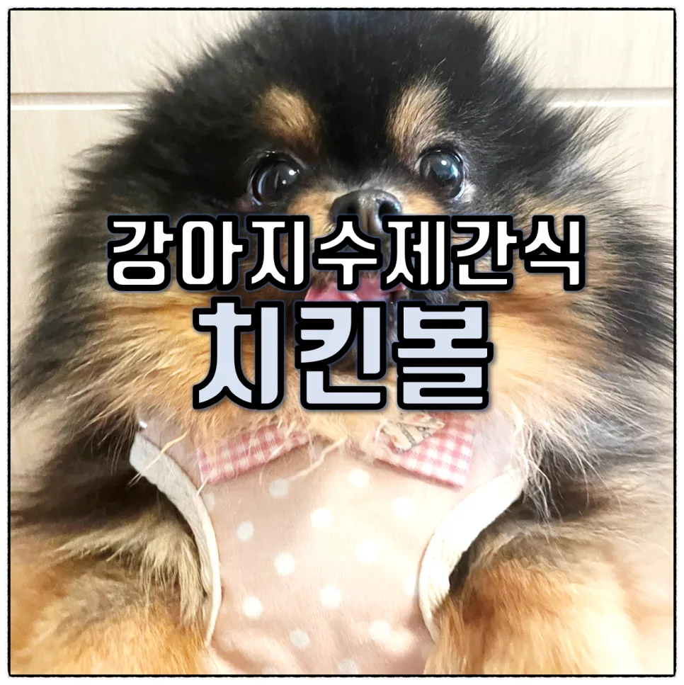 강아지 수제간식 치킨볼, 에어프라이어 레시피