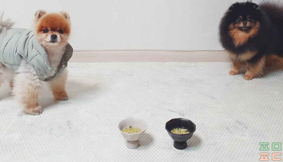 오징어 동결건조 간식, 급여법 3가지와 급여량 관련 사진 4