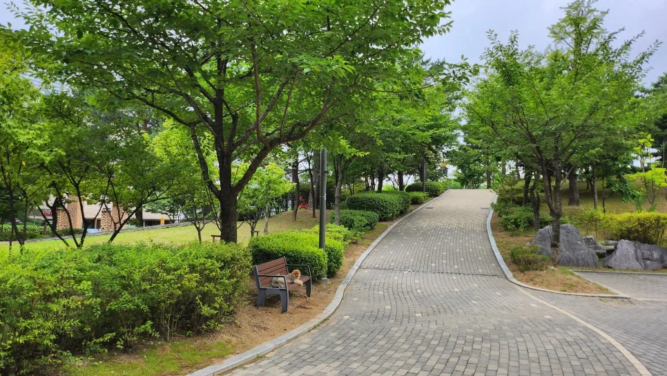 신계역사공원 강아지 산책 코스, 쿨링포그 정보