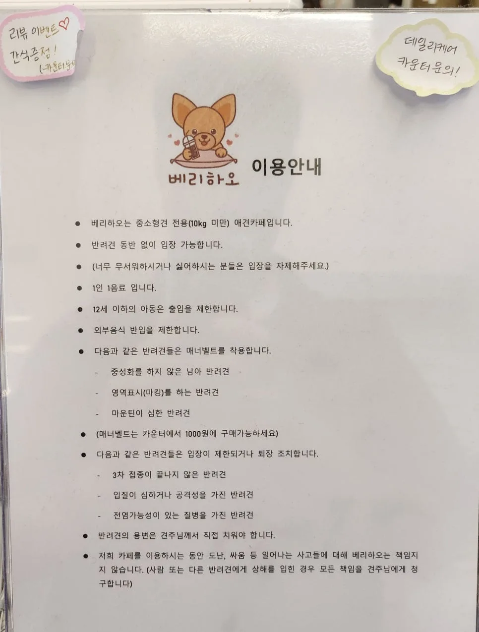 수원 인계동 애견카페 베리하오 이용 정보 관련 사진 2